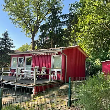 Stranddroem * מאלצ'ו